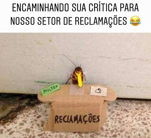 Sua Imagem Responsiva