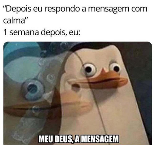 Sua Imagem Responsiva